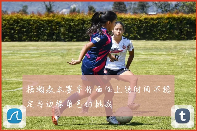 杨瀚森本赛季将面临上场时间不稳定与边缘角色的挑战