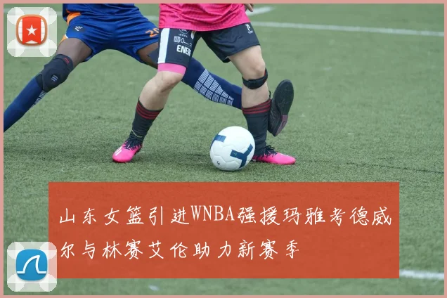 山东女篮引进WNBA强援玛雅考德威尔与林赛艾伦助力新赛季
